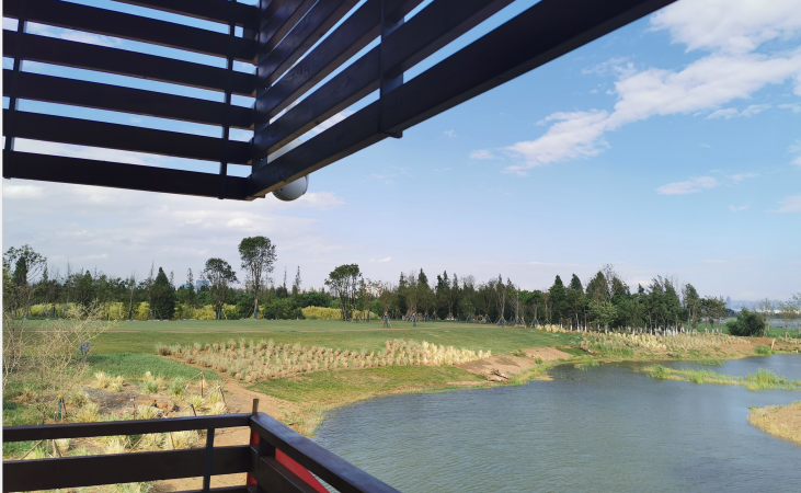 DB���ˡ�(�й���)�ٷ���վ