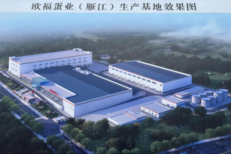 DB���ˡ�(�й���)�ٷ���վ