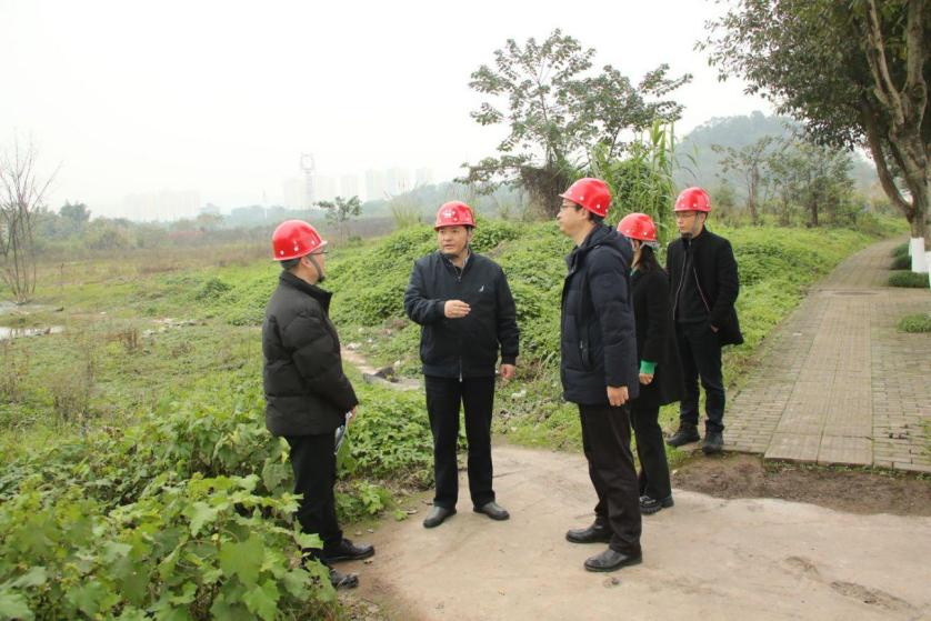 DB���ˡ�(�й���)�ٷ���վ