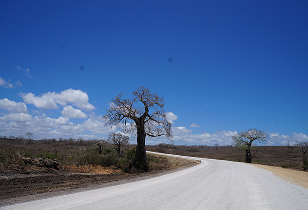 DB���ˡ�(�й���)�ٷ���վ